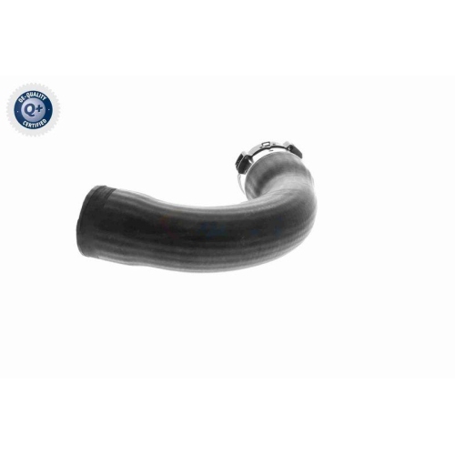 VAICO Ladeluftschlauch Q+, Erstausrüsterqualität V10-4378