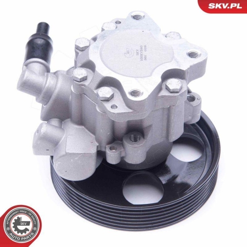 ESEN SKV Hydraulikpumpe, Lenkung 10SKV240