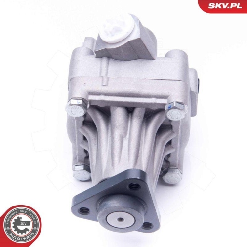 ESEN SKV Hydraulikpumpe, Lenkung 10SKV245