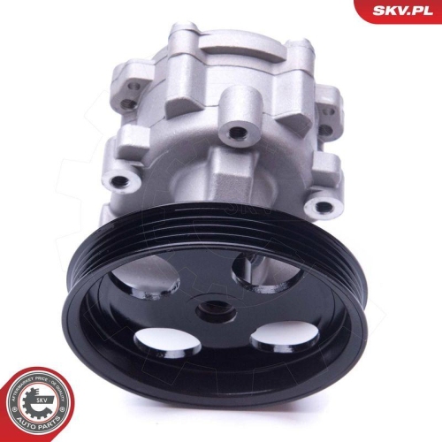 ESEN SKV Hydraulikpumpe, Lenkung 10SKV251