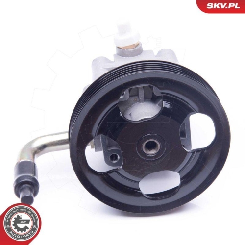 ESEN SKV Hydraulikpumpe, Lenkung 10SKV268