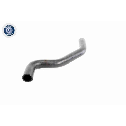 VAICO K&uuml;hlerschlauch Q+, Erstausr&uuml;sterqualit&auml;t V46-0901