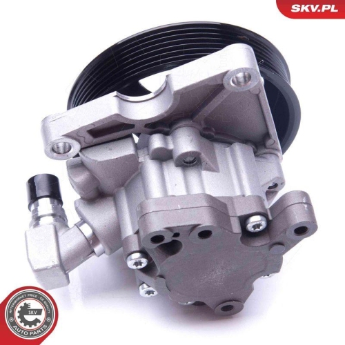 ESEN SKV Hydraulikpumpe, Lenkung 10SKV270