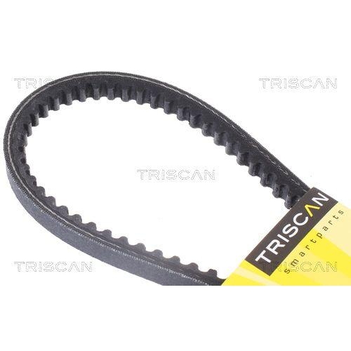 TRISCAN Keilriemen