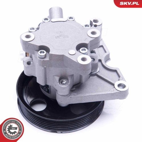 ESEN SKV Hydraulikpumpe, Lenkung 10SKV271