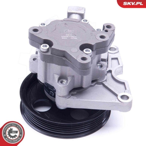 ESEN SKV Hydraulikpumpe, Lenkung 10SKV273