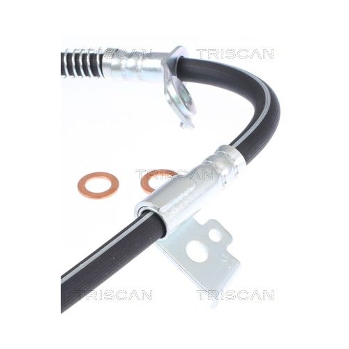 TRISCAN Bremsschlauch 8150 43179