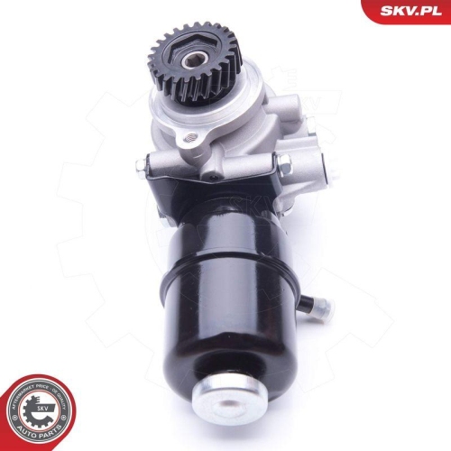 ESEN SKV Hydraulikpumpe, Lenkung 10SKV274
