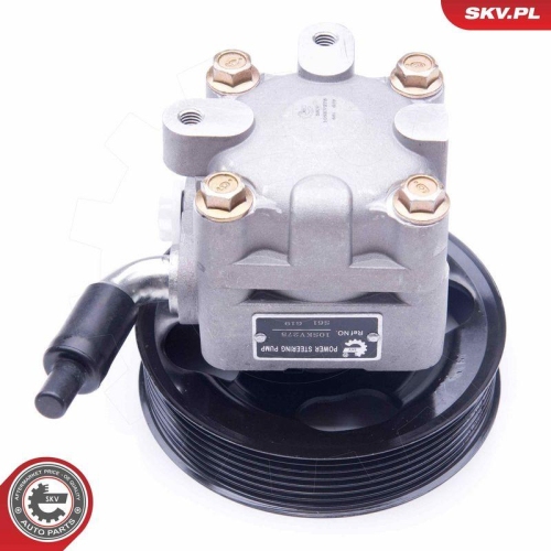 ESEN SKV Hydraulikpumpe, Lenkung 10SKV275