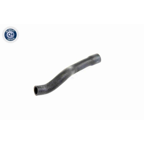 VAICO Kühlerschlauch Q+, Erstausrüsterqualität V20-1611