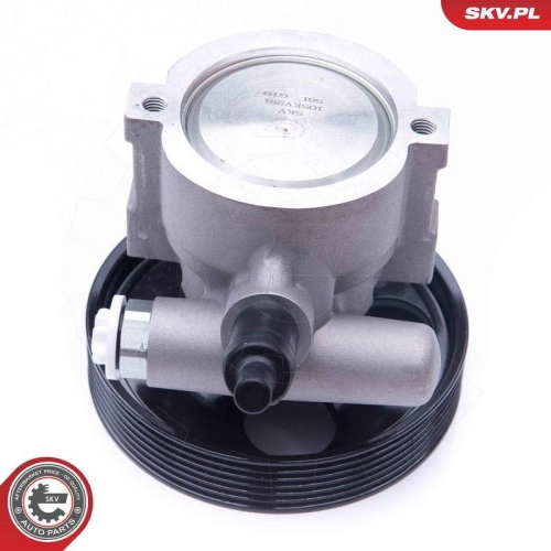 ESEN SKV Hydraulikpumpe, Lenkung 10SKV281