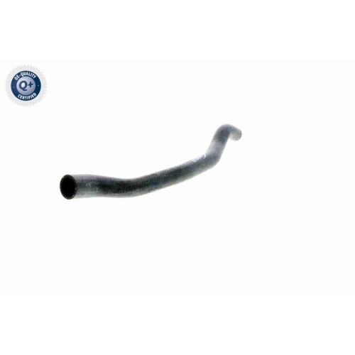 VAICO Kühlerschlauch Q+, Erstausrüsterqualität V20-1648