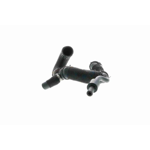 VAICO K&uuml;hlerschlauch Original VAICO Qualit&auml;t V10-4288