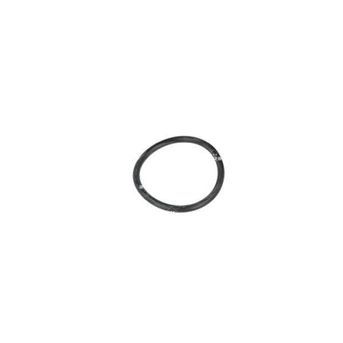 NRF Kühlmittelflansch EF to be sourced 775094