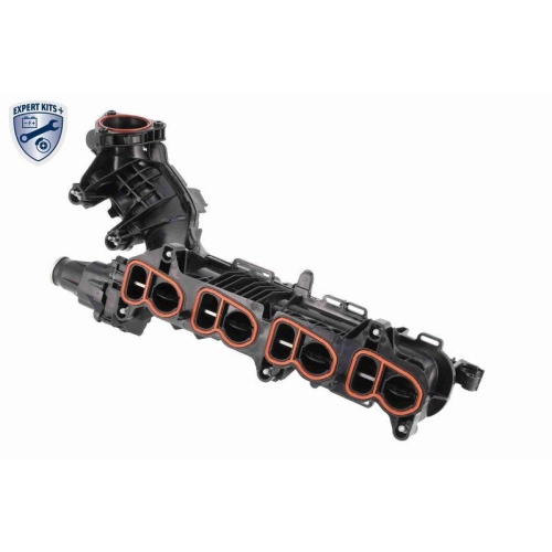 VAICO Saugrohrmodul EXPERT KITS + V20-4029