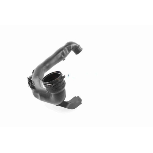 VAICO Ladeluftschlauch Original VAICO Qualit&auml;t V10-6496