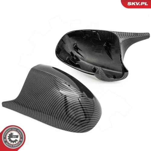 ESEN SKV Abdeckung, Außenspiegel