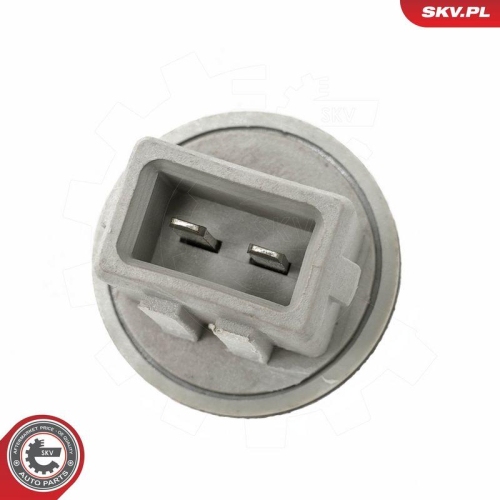 ESEN SKV Sensor, Innenraumtemperatur 17SKV983