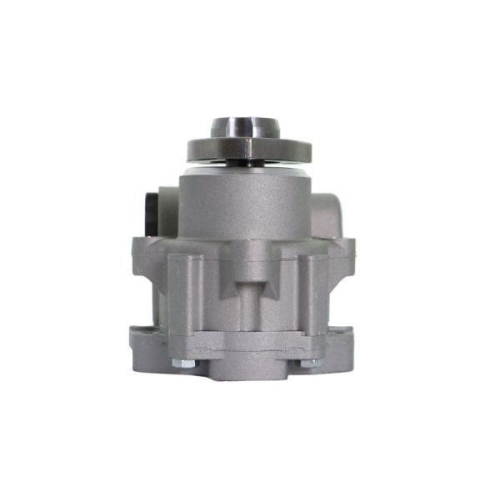 LAUBER Hydraulikpumpe, Lenkung 55.1574