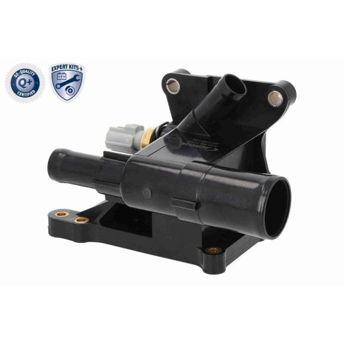 ACKOJA Thermostat, K&uuml;hlmittel EXPERT KITS +