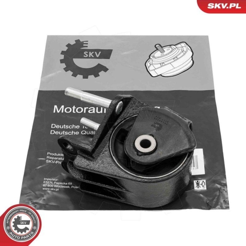 ESEN SKV Lagerung, Motor 75SKV336
