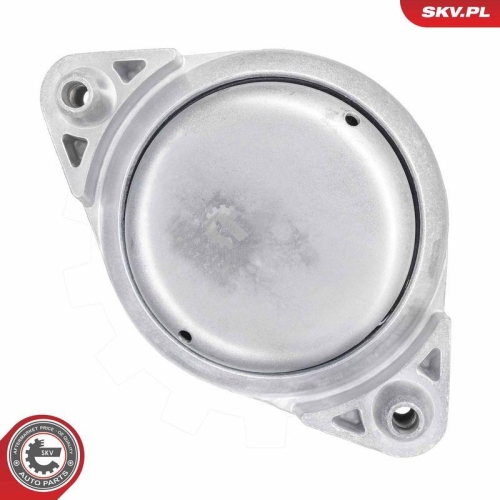 ESEN SKV Lagerung, Motor 75SKV328