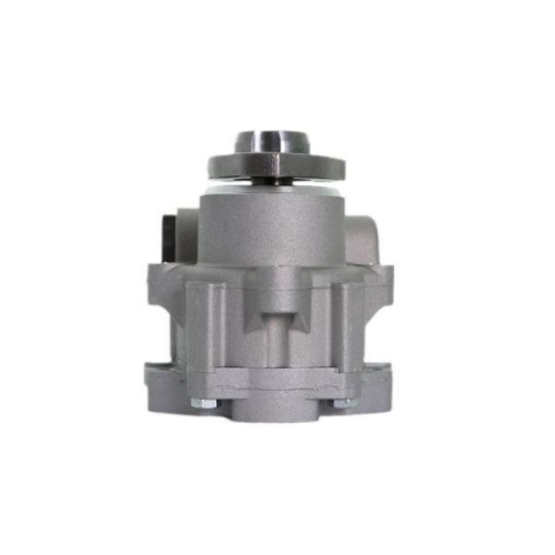 LAUBER Hydraulikpumpe, Lenkung 55.5234