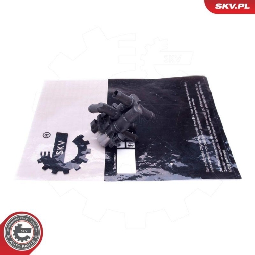 ESEN SKV K&uuml;hlmittelregelventil 96SKV915