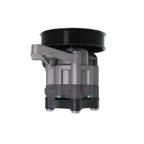 LAUBER Hydraulikpumpe, Lenkung 55.0965