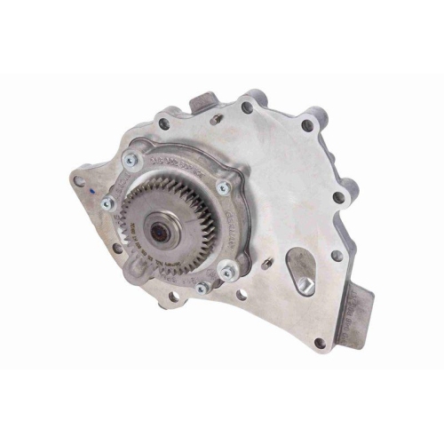 VAICO Wasserpumpe, Motorkühlung Green Mobility Parts V45-50019