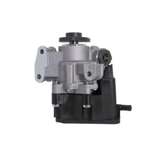 LAUBER Hydraulikpumpe, Lenkung 55.1030