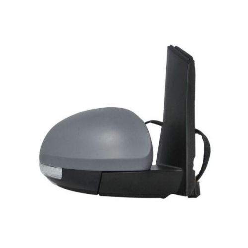 BLIC Außenspiegel 5402-10-2002264P