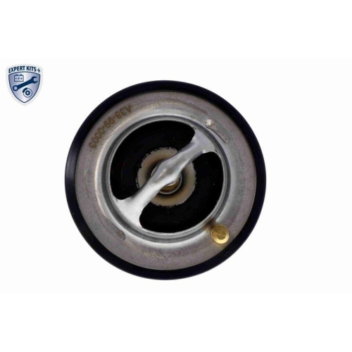 ACKOJA Thermostat, K&uuml;hlmittel EXPERT KITS +