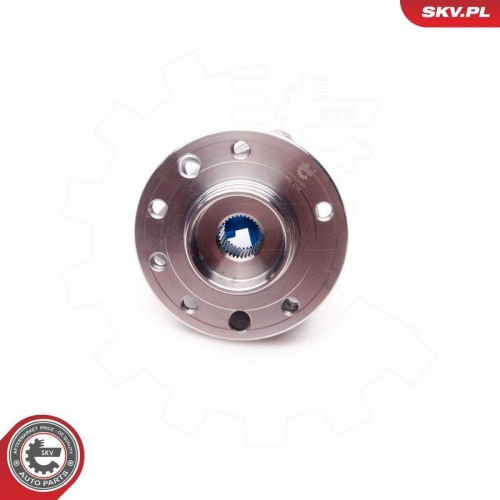 ESEN SKV Radlagersatz 29SKV028