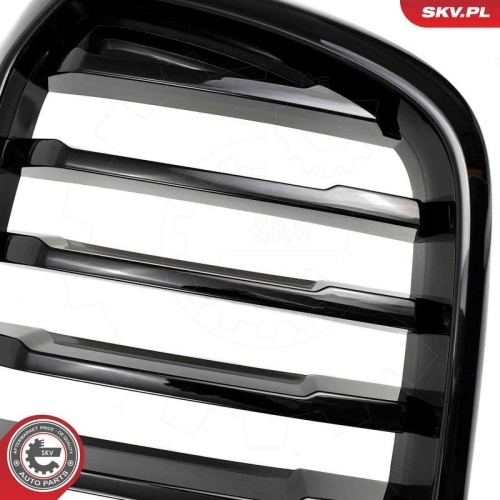 ESEN SKV Kühlergitter