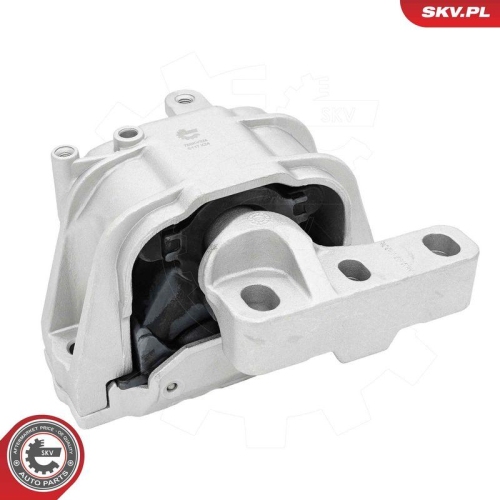ESEN SKV Lagerung, Motor 75SKV324