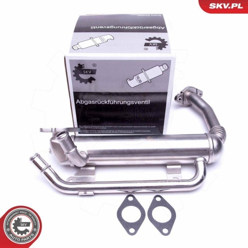 ESEN SKV AGR-Ventil 14SKV223