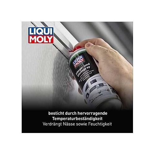 Camping Pflegespray und Gleitspray 200 ml LIQUI MOLY 21808