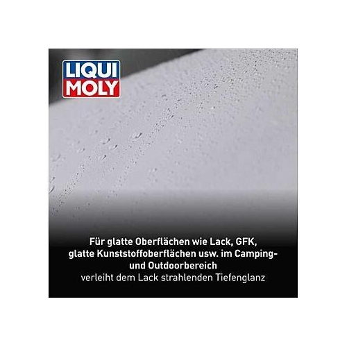 Camping Lackschnellpflege Spray 500 ml Liqui Moly