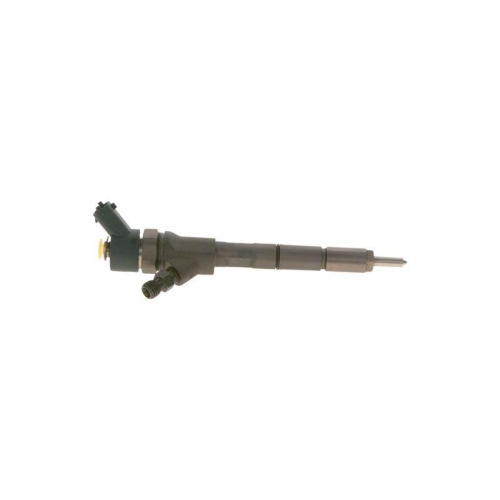 BOSCH Einspritzd&uuml;se 0 445 110 307