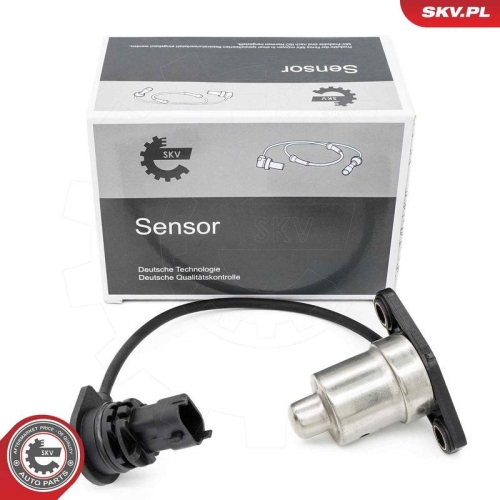 ESEN SKV Sensor, Motor&ouml;lstand 17SKV931