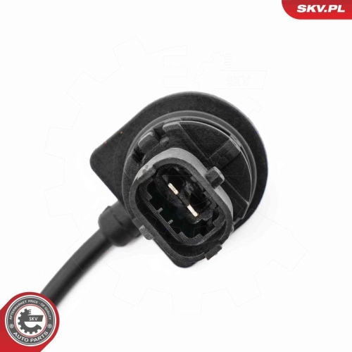 ESEN SKV Sensor, Motor&ouml;lstand