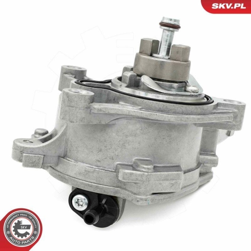 ESEN SKV Unterdruckpumpe, Bremsanlage 18SKV078