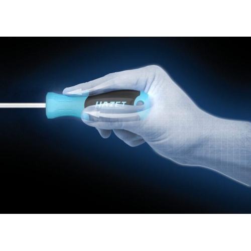 HAZET Schraubendreher Schlitz Profil SW 1,6 x 10 mm 811-100