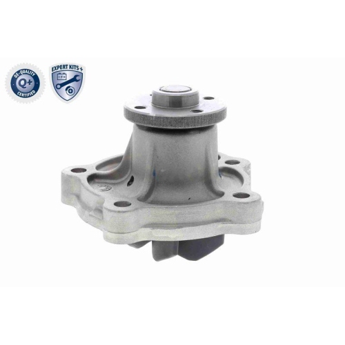 ACKOJA Wasserpumpe, Motork&uuml;hlung EXPERT KITS +