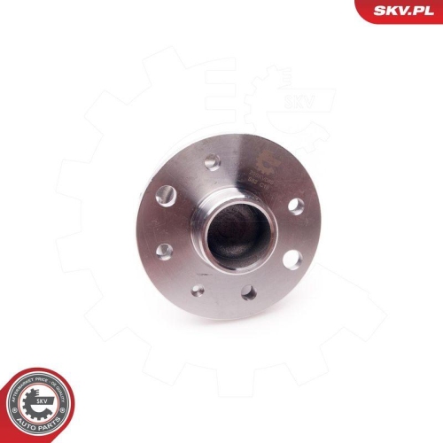 ESEN SKV Radlagersatz 29SKV056