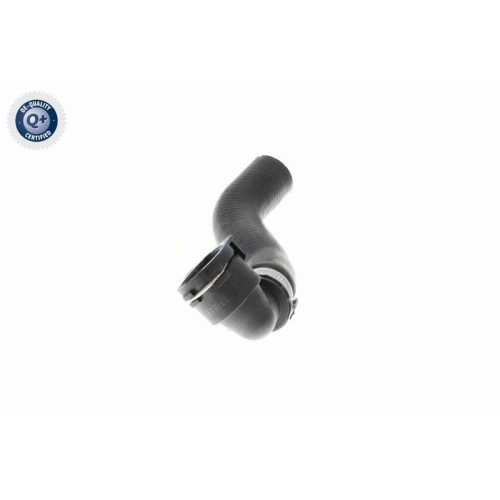 VAICO K&uuml;hlerschlauch Q+, Erstausr&uuml;sterqualit&auml;t V20-3682