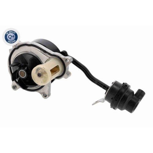 VAICO Wasserpumpe, Motork&uuml;hlung Q+, Erstausr&uuml;sterqualit&auml;t V20-50073
