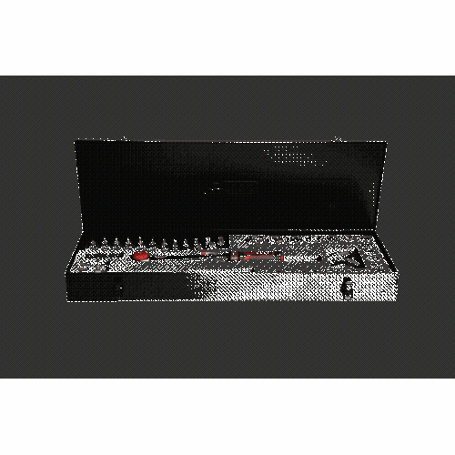 1/2 Zoll ERGOTORQUE Ratschen-Drehmomentschl&uuml;ssel-Satz Drehknopf 20-100Nm 49-tlg