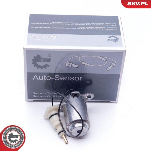 ESEN SKV Sensor, Motor&ouml;lstand 17SKV398